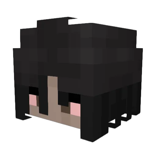 ZorxisVA Minecraft avatar head, 3D render