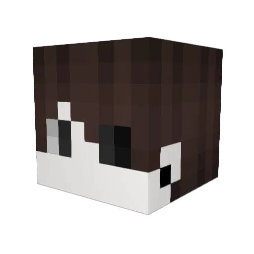 Zoryko Minecraft avatar head, 3D render