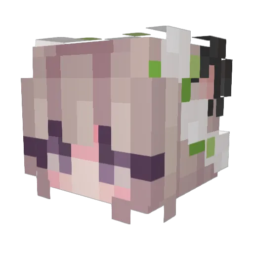 Zoryn Minecraft avatar head, 3D render