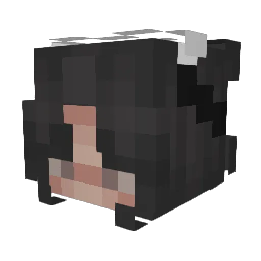 Zoska2007 Minecraft avatar head, 3D render