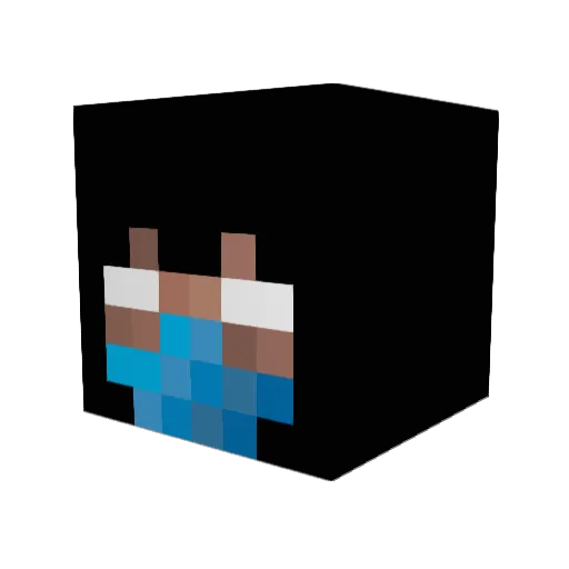 Zotatop Minecraft avatar head, 3D render