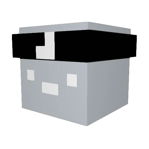 Zoticc Minecraft avatar head, 3D render