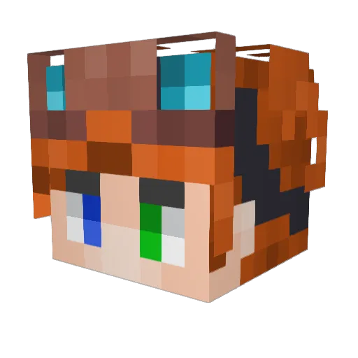Zottel_Panda Minecraft avatar head, 3D render