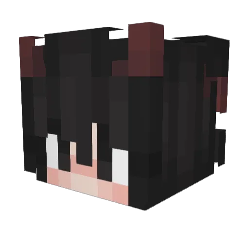 Zoxiic Minecraft avatar head, 3D render