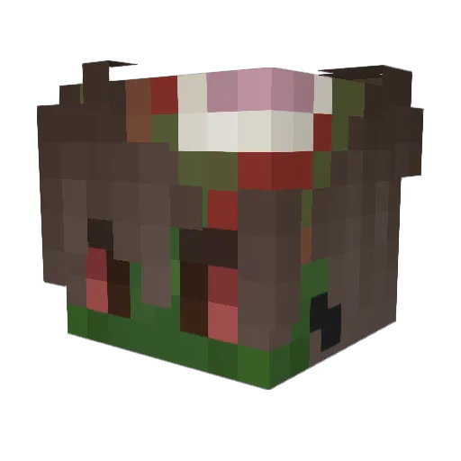 ZoySilvy0N Minecraft avatar head, 3D render