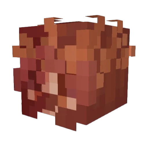 Zoyaxx Minecraft avatar head, 3D render