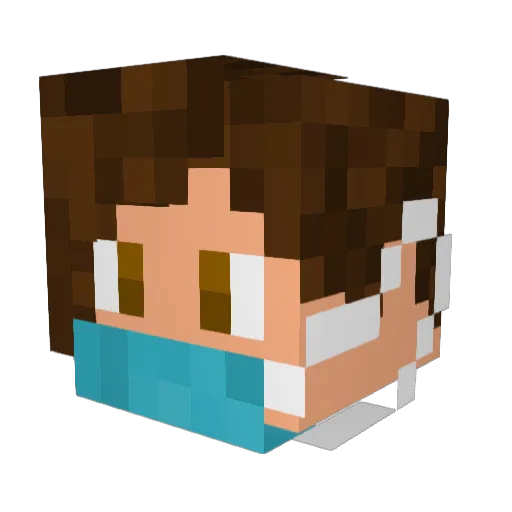 Zoylu02 Minecraft avatar head, 3D render