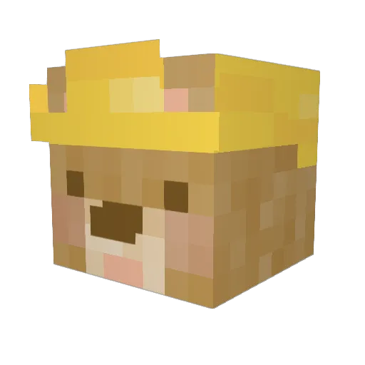 Zoyoo Minecraft avatar head, 3D render