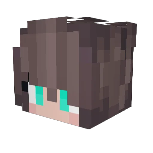 Zoz11 Minecraft avatar head, 3D render