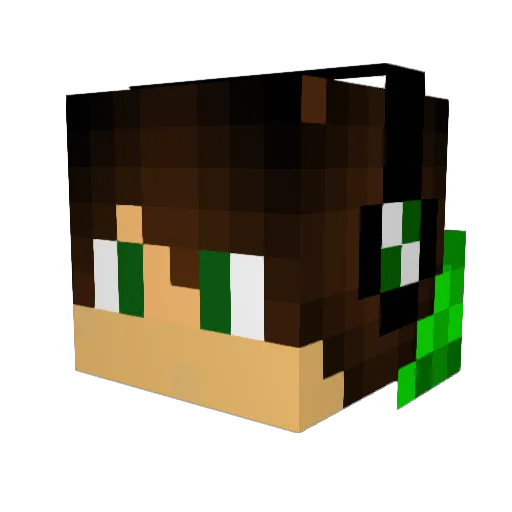Zozo009 Minecraft avatar head, 3D render