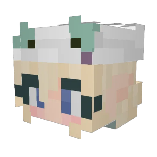 Zozol303 Minecraft avatar head, 3D render