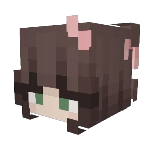 Zozoleq6 Minecraft avatar head, 3D render