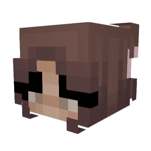 Zozolol4 Minecraft avatar head, 3D render