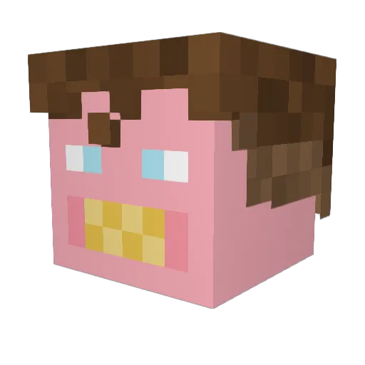 Zpikes1337 Minecraft avatar head, 3D render