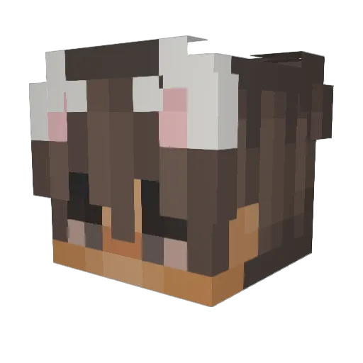 Zpiq Minecraft avatar head, 3D render