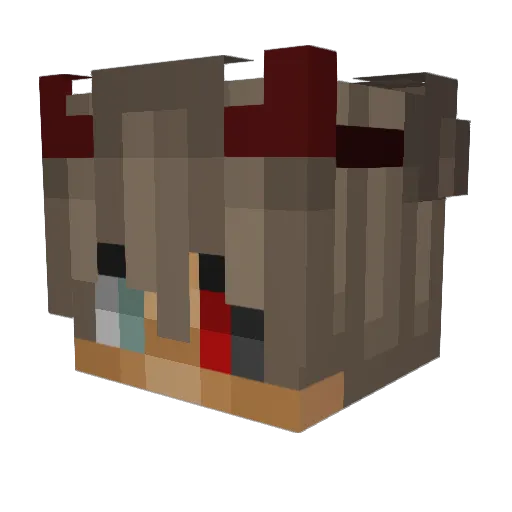 ZqcKoS Minecraft avatar head, 3D render
