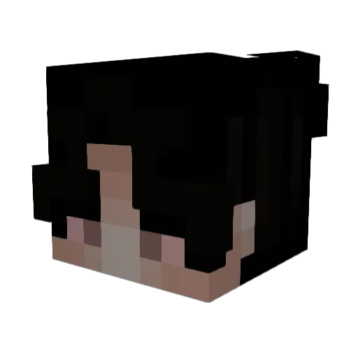 Zqlo_ Minecraft avatar head, 3D render