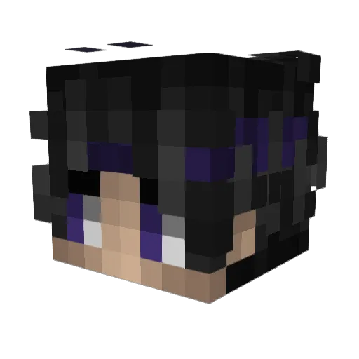 Zqnark Minecraft avatar head, 3D render