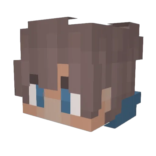 Zr_10 Minecraft avatar head, 3D render