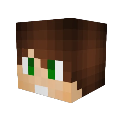 Zrauq Minecraft avatar head, 3D render