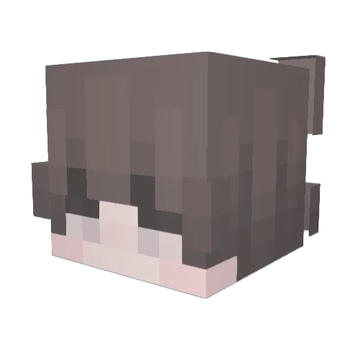 ZrobicCiPlacowke Minecraft avatar head, 3D render