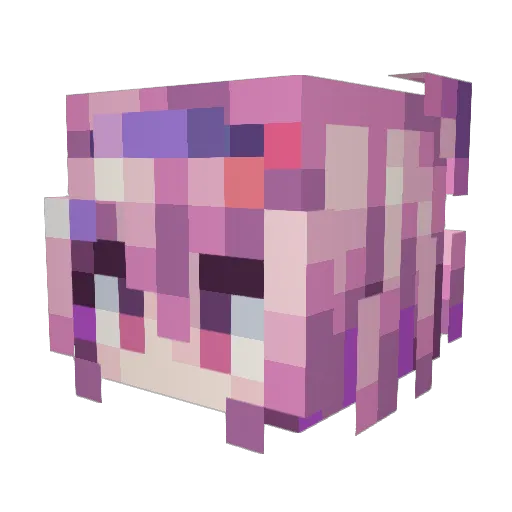 Zruer Minecraft avatar head, 3D render