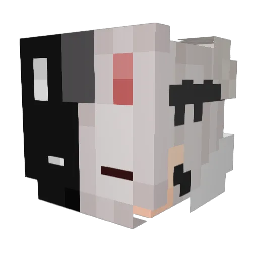 ZrysieQ Minecraft avatar head, 3D render