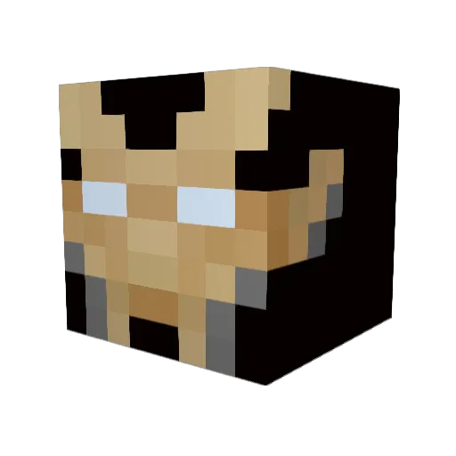 Zsanders_904 Minecraft avatar head, 3D render