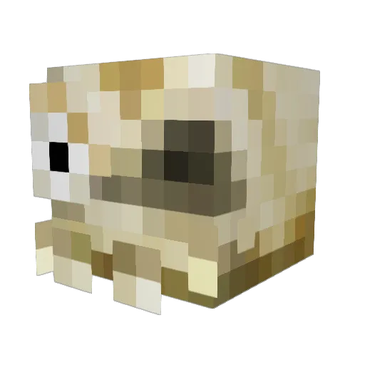 Zshezzel Minecraft avatar head, 3D render