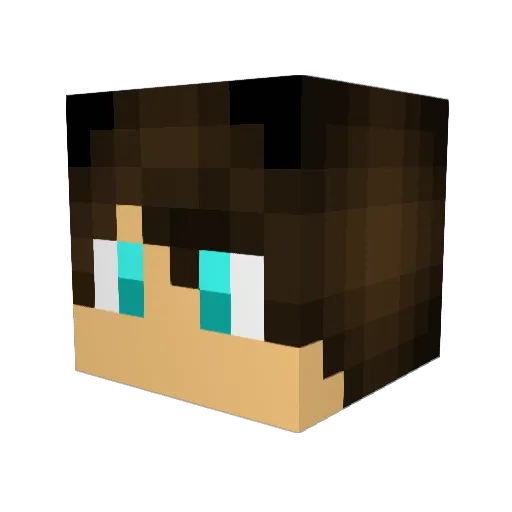 ZsideiMate Minecraft avatar head, 3D render