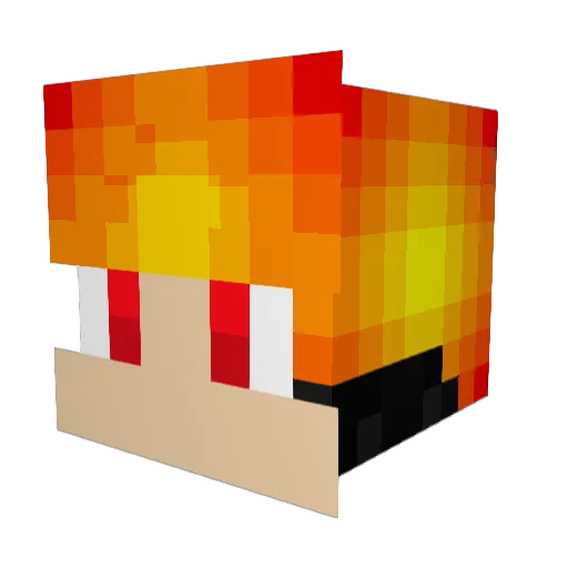 Zsigi_ Minecraft avatar head, 3D render