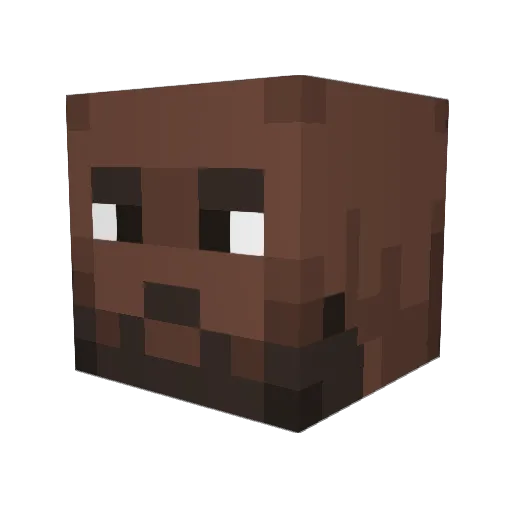 ZskSonic Minecraft avatar head, 3D render