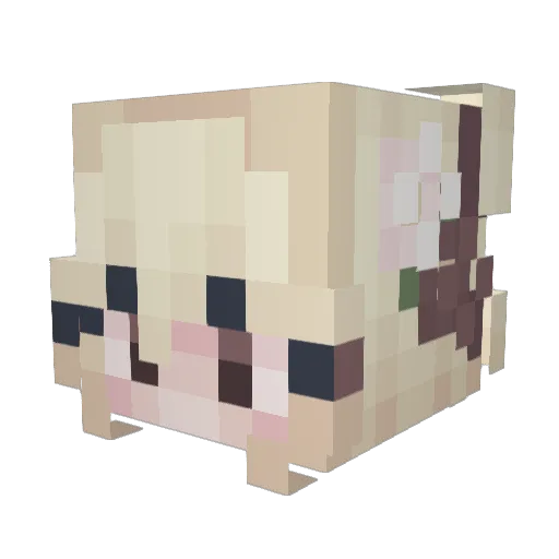 Zso42 Minecraft avatar head, 3D render