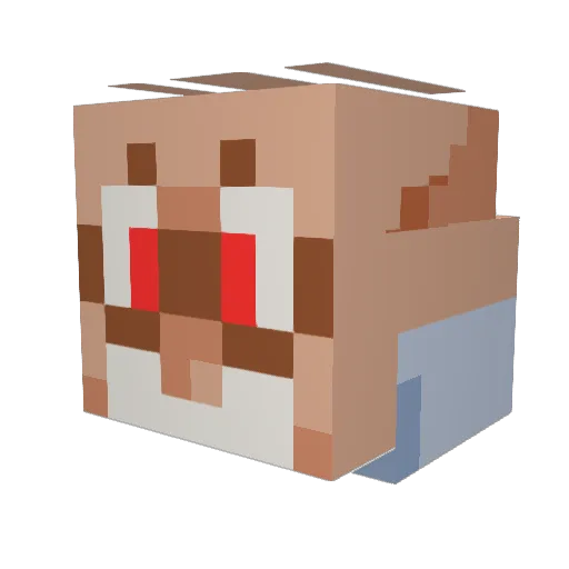 Zsock Minecraft avatar head, 3D render