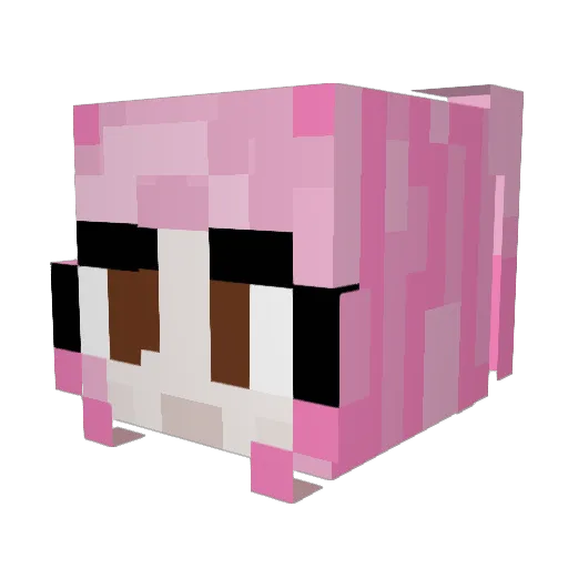 Zsoff Minecraft avatar head, 3D render