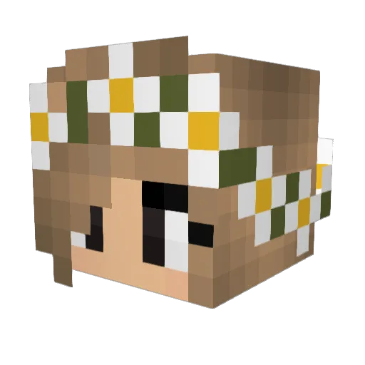 ZsofiTheGirl Minecraft avatar head, 3D render