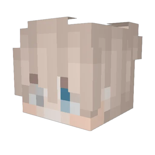 Zsombuw Minecraft avatar head, 3D render