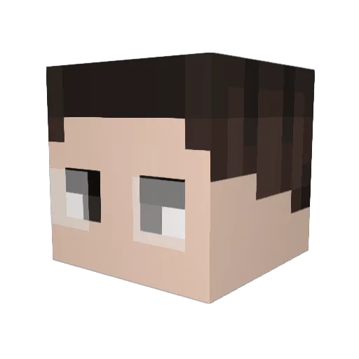 Zst Minecraft avatar head, 3D render