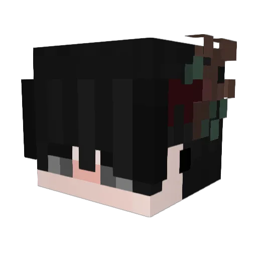 ZtDany Minecraft avatar head, 3D render
