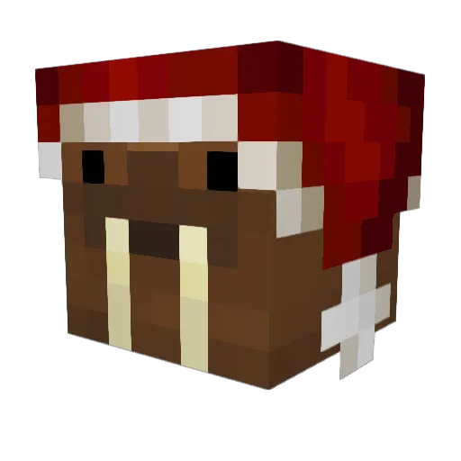 Ztask Minecraft avatar head, 3D render