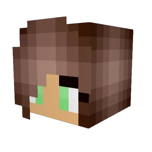 ZtayX Minecraft avatar head, 3D render