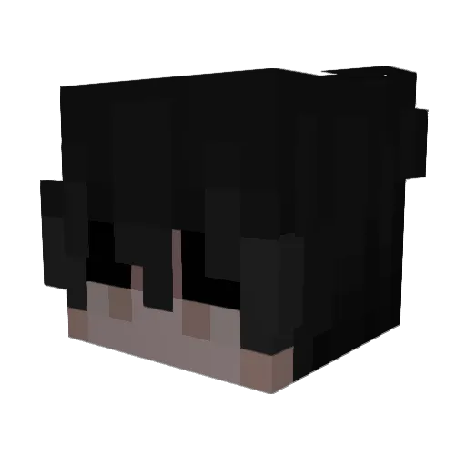 Ztechsnow Minecraft avatar head, 3D render