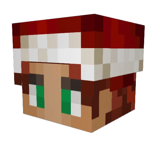 Ztepp125 Minecraft avatar head, 3D render