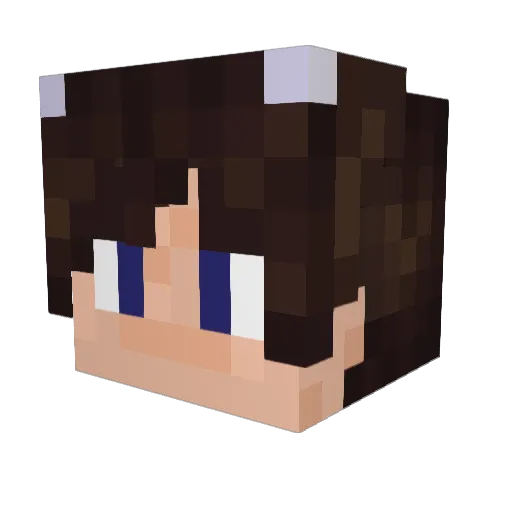 ZtevesgZ Minecraft avatar head, 3D render