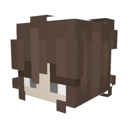 ZtheStranger Minecraft avatar head, 3D render