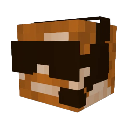 Ztorm_808 Minecraft avatar head, 3D render