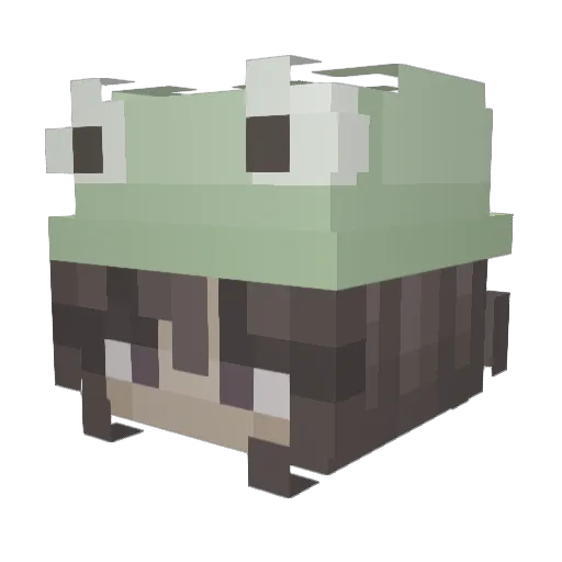 ZuUzankq Minecraft avatar head, 3D render