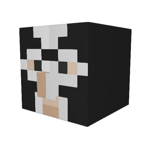 ZuZu_x Minecraft avatar head, 3D render