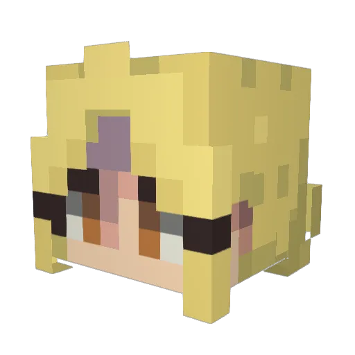 Zubaru56 Minecraft avatar head, 3D render