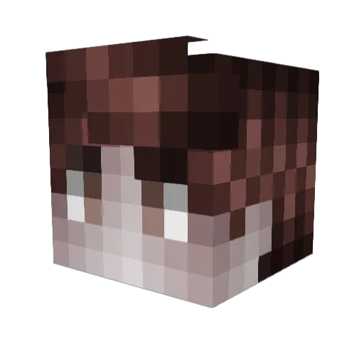 Zubastik Minecraft avatar head, 3D render